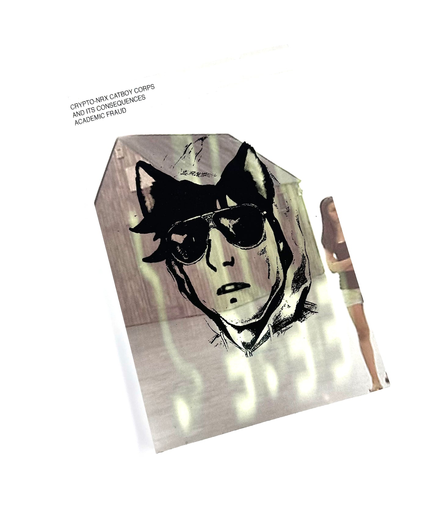 Crypto-NRx Catboy Corps and its Consequences